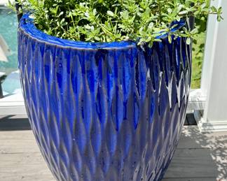 $60; blue ceramic planter with self-watering system; 16"dx22"h