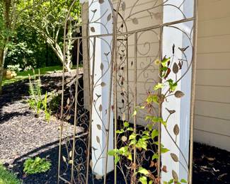 $22 each (3 available); leaf arched metal trellis; 22"x64"