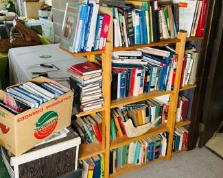 Bookshelf with 3 Shelves and Mixed Genre Book Collection