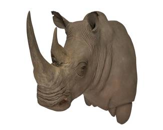 Large Rhino Shoulder Mount
