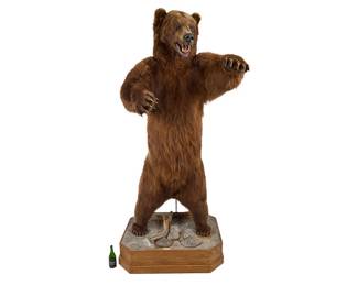 Full Body Russian Bear Display
