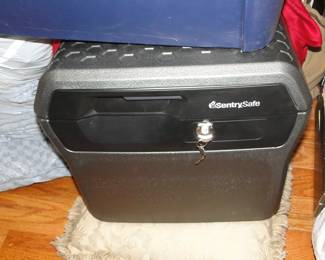 Sentry Safe