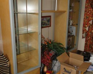 Modern Wall unit