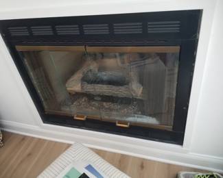Nearly new fireplace insert