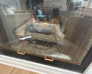 Nearly new fireplace insert