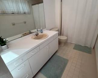 Bath vanity; mirror; vanity lights