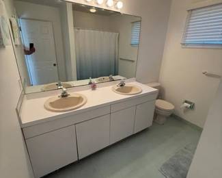 Double bath vanity; mirror; vanity lights