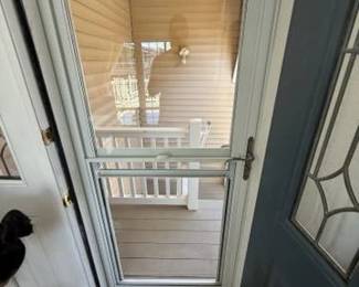 Newer Larson storm door