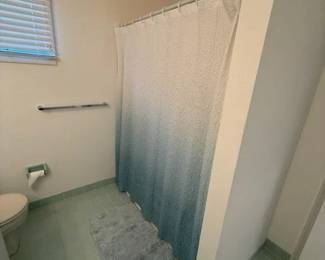 Shower curtain; towel bars