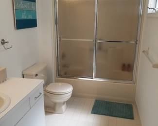 Glass shower doors