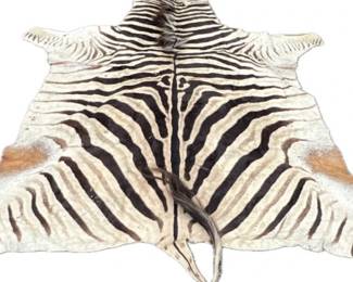 Zebra skin rug has intact mane and tail with black felt backing; 77"W x 96"L