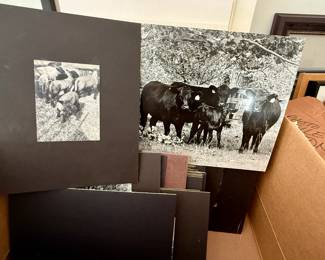 Our homeowner was a photo journalist and we have lots of pictures from the local area