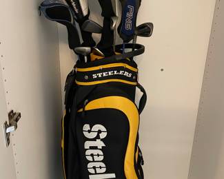 Pittsburgh Steelers golf bag