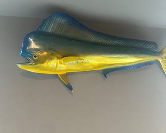 Taxidermy fish, 53" wide