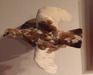 Stuffed Willow Ptarmigan