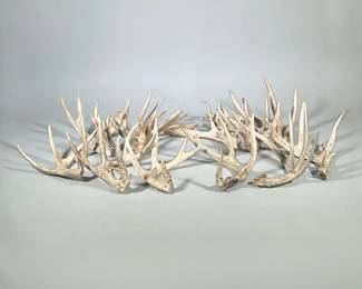 25LB Mixed Deer Antlers | Various sizes from 14 -15 points and less . Approx 20 pairs or more.