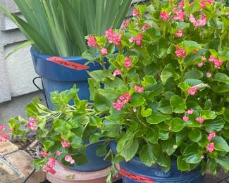 blue pot with pink flowers $75. Tall blue $65