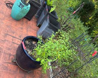 Lots of pots and plant stands and racks