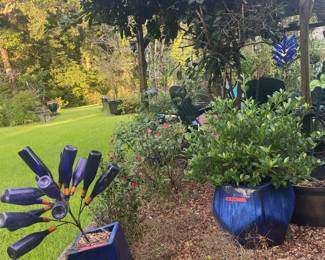 Bottle trees