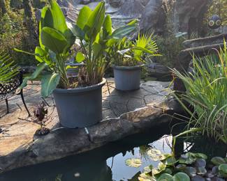 Tons of large pots with plants