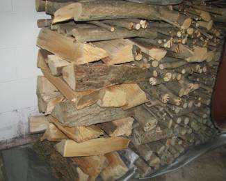 Lots of firewood