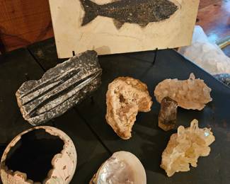 Fossils and Crystals