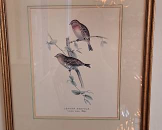 Bird print