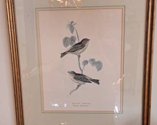 Bird print