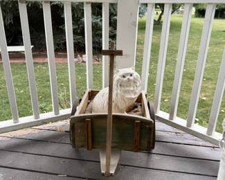 Wagon with Cat