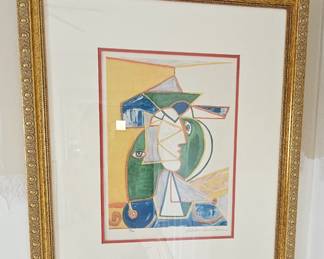Picasso Domain