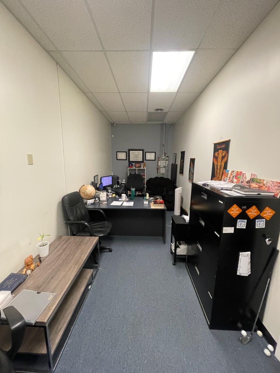 swivel chairs, filing cabinets, art, globe, table, bookshelf