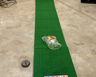 Green putting mat featuring the brand name 'PUTTERBALL' in red and blue text. The mat has circular indentations for placement. Includes two putters with blue and red handles and a set of colorful golf balls.