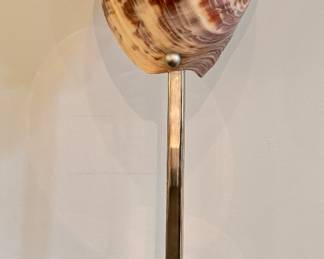 Shell Lamp