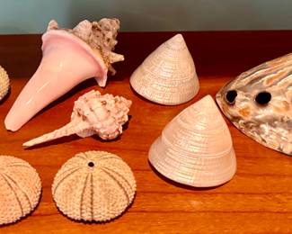 Shells