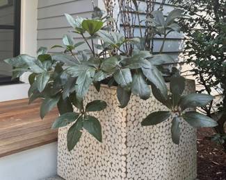 Oversized Planter