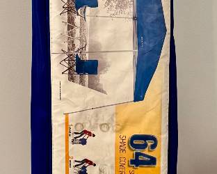 10 x 10 Instant Up Canopy