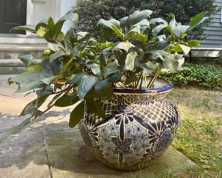 Terracotta Planter