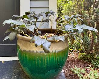 (2) Oversized Ombre Planters