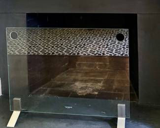 Ecosmart Fire Screen