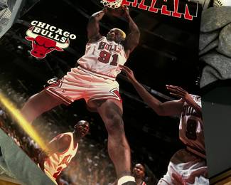 Poster 1991 Chicago Bulls Denis Rodman 91