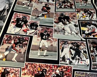 Poster Chicago Bears provision options