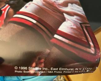Poster 1991 Chicago Bulls Denis Rodman 91