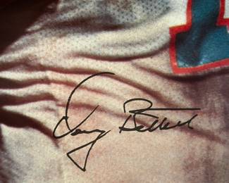 Poster Dolphins 75 signed