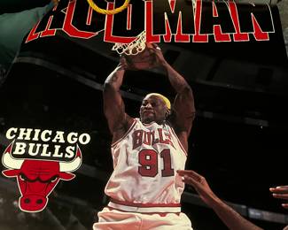 Poster 1991 Chicago Bulls Denis Rodman 91