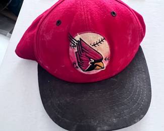 Arizona cardinals sports hat