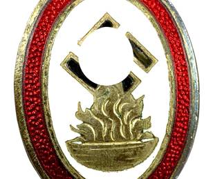 WWII German Third Reich WHW (Winterhilfswerk) Enamel Donation Pin