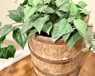 Plant in Wood Bucket 