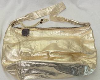 the Sak Handbag
