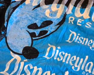 Disneyland
