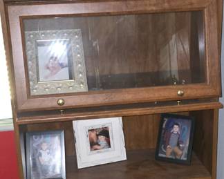Lawyers Bookcase 